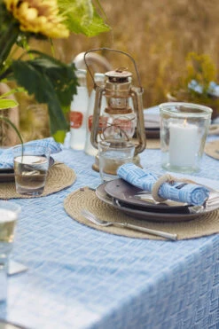 Lexington Graphic Printed Cotton Serviette 50 X 50cm -Lexington 510363 01 7 EnvironmentImage 602520b4ec