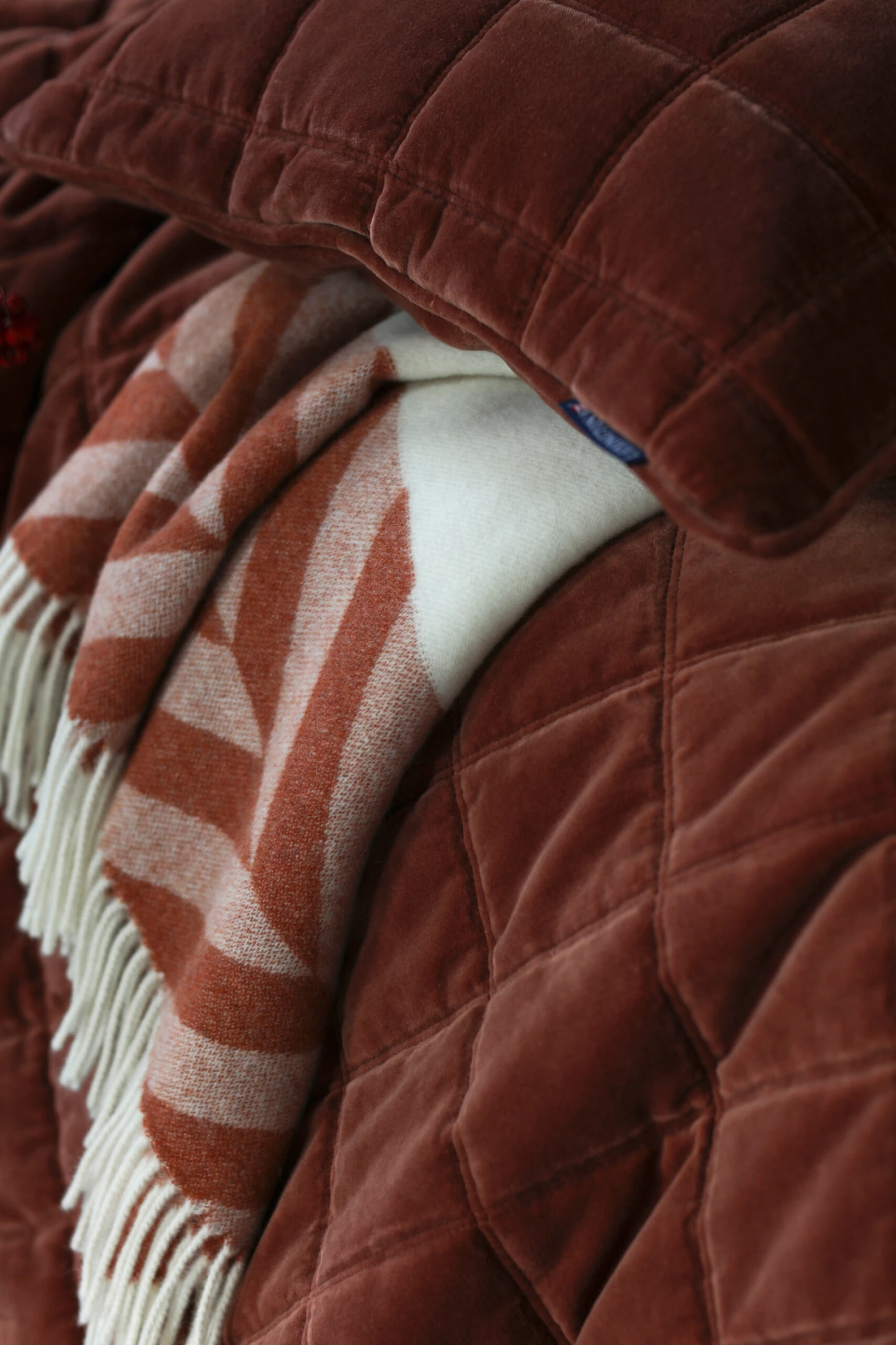 Lexington Cotton Velvet Gesteppte Tagesdecke 240 X 260 Cm 6 Lexington Cotton Velvet Gesteppte Tagesdecke 240 X 260 Cm – Bild 4